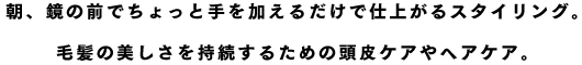 朝、鏡の前でちょっと手を加えるだけで仕上がるスタイリング。毛髪の美しさを持続するための頭皮ケアやヘアケア。
